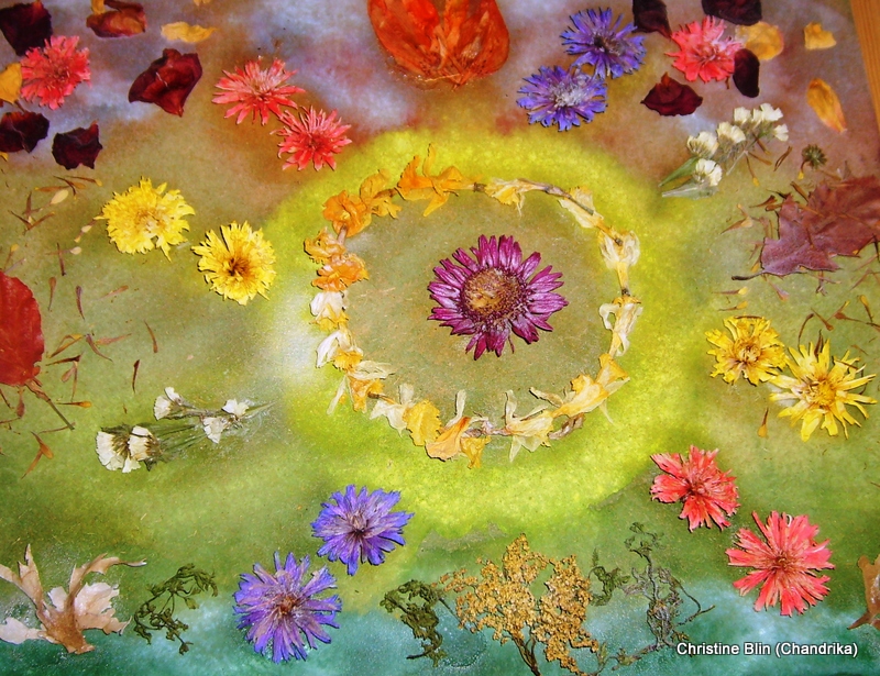 Astral aquarelle et fleurs sechees 53 x 43 cm
