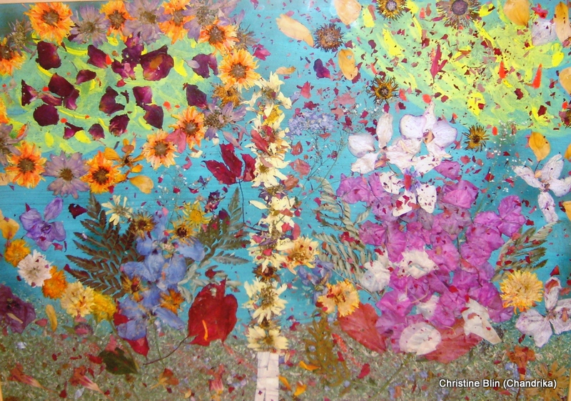 Aurore, collection particuliere aquarelle et fleurs sechees 50 x 60 cm