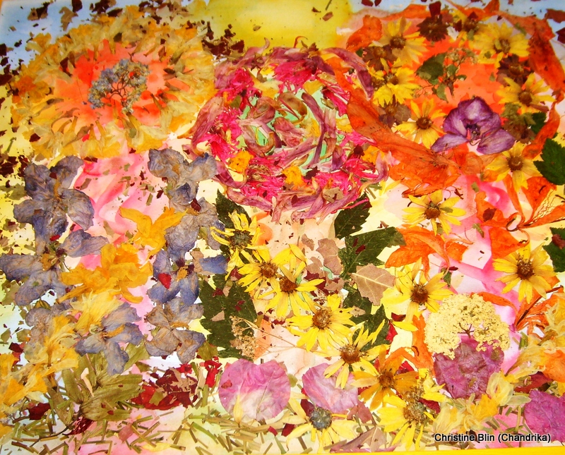 Eveil du printemps acrylique et fleurs sechees 47 5 x 57 5 cm